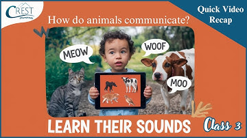 Class 3 | Animals and Animals Sound | English Olympiad | CREST Olympiads