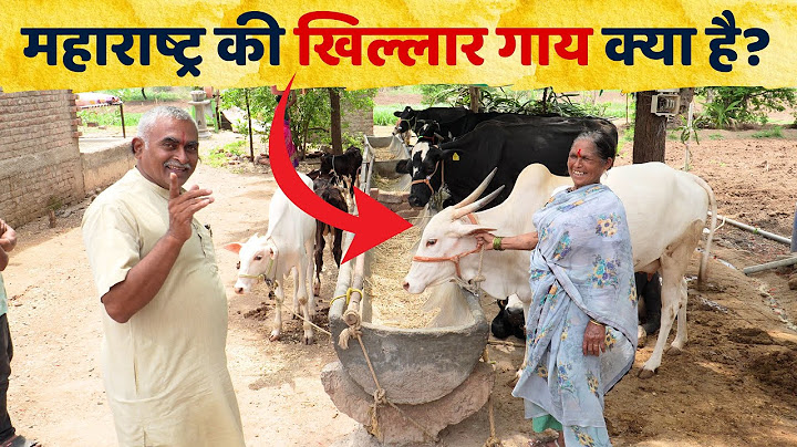 महाराष्ट्र की खिल्लार गाय क्या है | cow farming in india profit | Gir Gau Jatan | Rameshbhai R