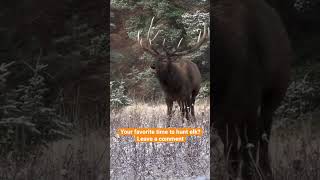 Bugling bull elk! The Elk Rut screenshot 4