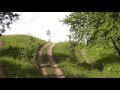 Кукует кукушка поют птицы в Бавлинском лесу за родником Релаксация
