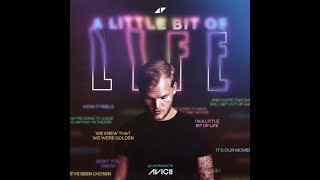 Avicii - A Little Bit Of Life