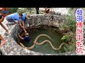 [生物放大鏡] 驚人發現!傳說中蛇坑的真相! | 蛇坑底部的秘密 | 世界上最大蟒蛇入侵事件