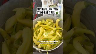 Ashley’s Produce farm stand in Papillion is open daily 9:00 am - 7:00 pm through Halloween.