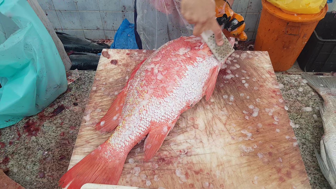 Red Trevally Fish Fillet and Skinning Ways।Trevally Fish Skinning by Super Fastest Ways by Minute