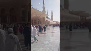 shiro din thykar jaiga na 😭😭#islamic #shortvideo ytstdio 😭🤲🤲
