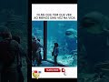 🍿🎞️🌊 Quando o mar te escuta... até os peixes respeitam!🍿🎞️  #filmes #shorts