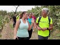 Gruppo Pellaro Trek Peri Caminaroli.Escursione Colline pellaresi di Reggio Cal.