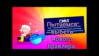 Пытаюсь выбить Гэйла