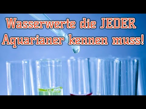 Wasserwerte die jeder kennen und verstehen muss! | Wassertests die man zu Hause haben muss!