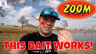 Zoom Super Fluke Gets It Done! | Late Fall Bass Fishing