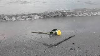 Heart drawn in the sand