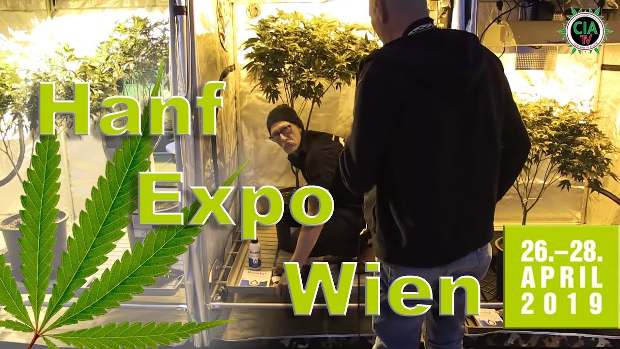 Hanf Expo 2019 - Warum ihr nächstes Jahr dabei sein müsst