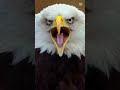 EGALE trending Short // #shortvideo #unfrez
