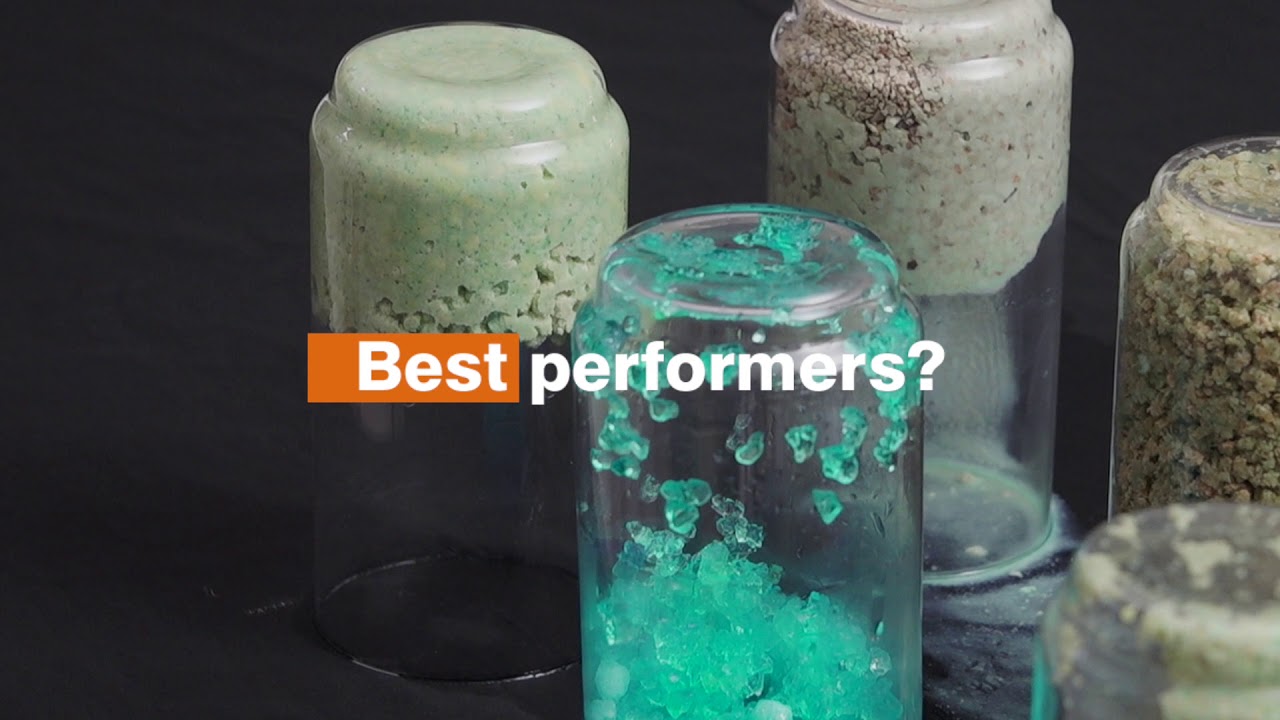 wee kitty clumping corn litter