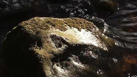 Instillation (CPIF response)