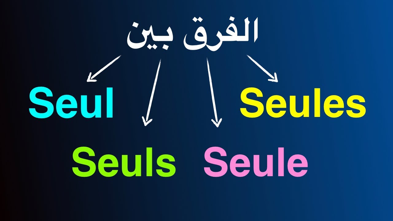الفرق بين seul, seule, seuls, seules