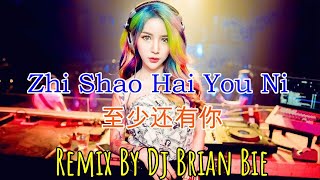 Zhi Shao Hai You Ni ～至少还有你 (Electro Manyao 2K23) By DJ Brian Bie #dj抖音版2023 #remixmanyao