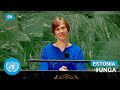 🇪🇪 Estonia - President Addresses United Nations General Debate, 76th Session (English) | #UNGA