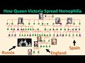 Family Tree: How Queen Victoria Spread Hemophilia into European Royalty (&amp; Their Tragic Deaths)
