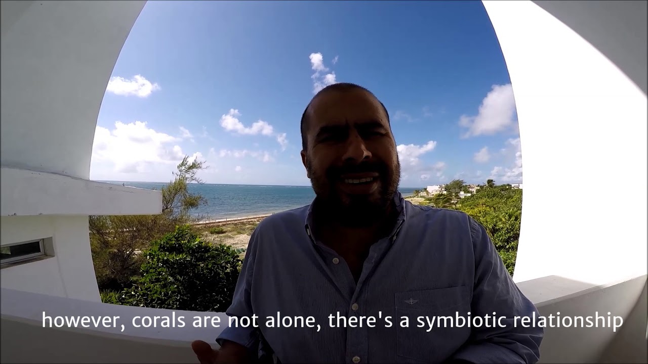 Frida, Mexico | Global Youth Video 2017 | Oceans and Climate Change