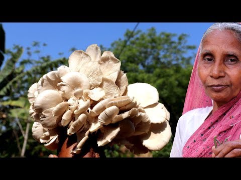 Grandma’s Special Mushroom Paturi Recipe | Indian Food Recipe | Village Food