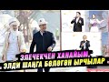 Элечекчен ханайым, элди шаңга бөлөгөн ырчылар