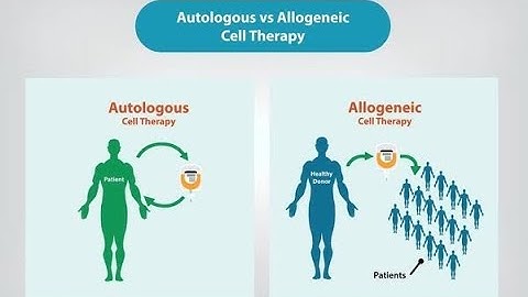 Complications Of Allogeneic stem cell transplantation (allo-SCT)