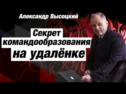 Командообразование на удаленке, мотивация персонала / Найм и оценка сотрудников / Александр Высоцкий