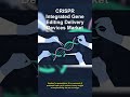 CRISPR Integrated Gene Editing Delivery Devices Ma