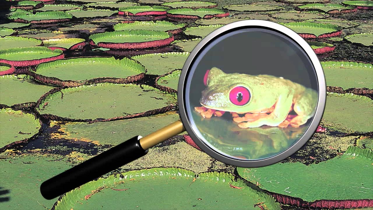 Susie's Song! I Magnify Sid The Science Kid The Jim Henson