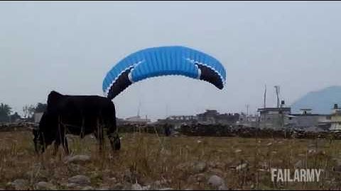 Best Fails of the Week 1 November 2014 || FailArmy HD