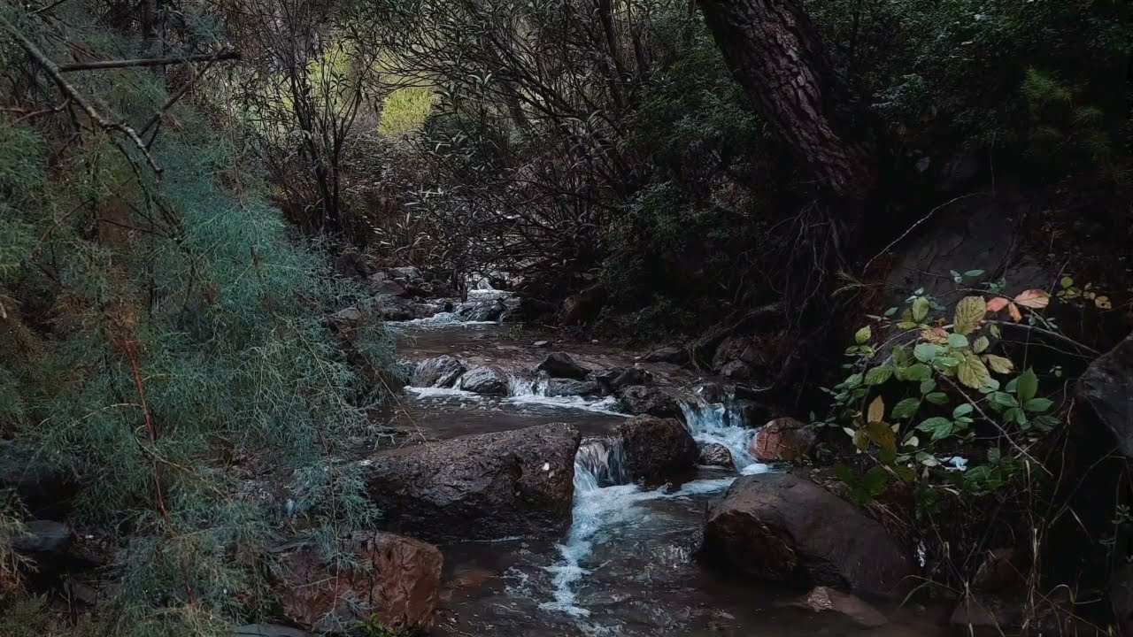 شلال مسلمون #تيبازة #algerie ⛰