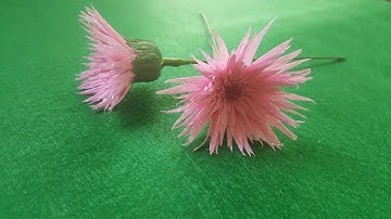 Hướng dẫn làm hoa đồng tiền giấy nhún | Hoa giấy nhún | DIY how to make gerbera crepe paper flower