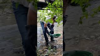 Famous Finding GOLD on LUNCH BREAK?!  Cherry Creek Downtown Denver Colorado #goldprospecting #goldpanning Wealth