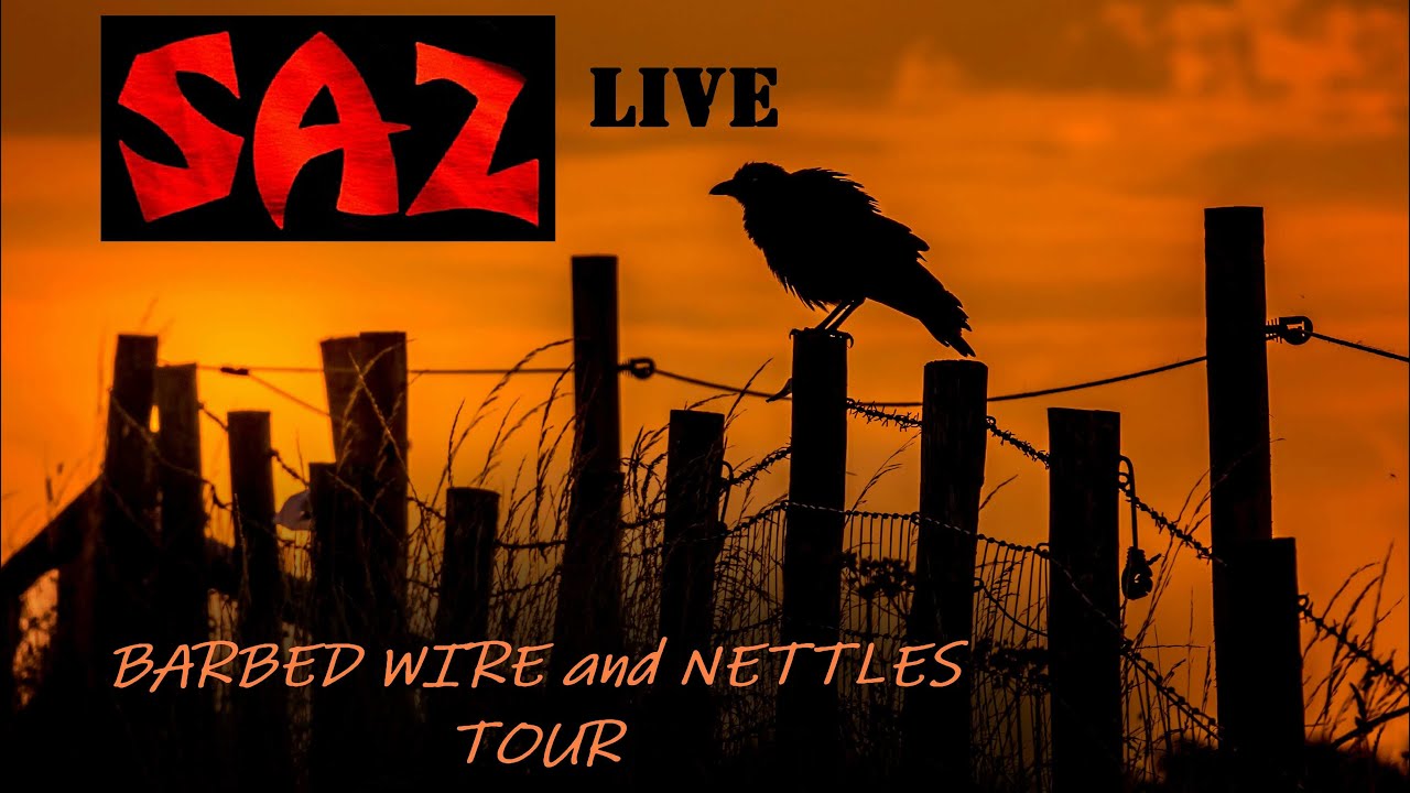 SAZ - Perfect Nightmare (live)