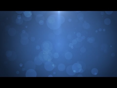 Motionbolt.com - Better Than Best