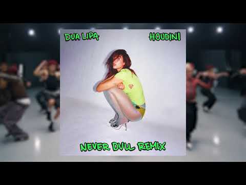 Dua Lipa - Houdini (NEVER DULL REMIX)