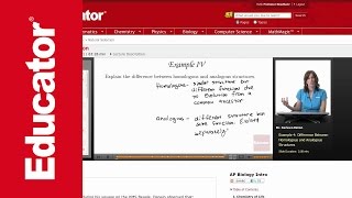 Homologous Analogous Structures