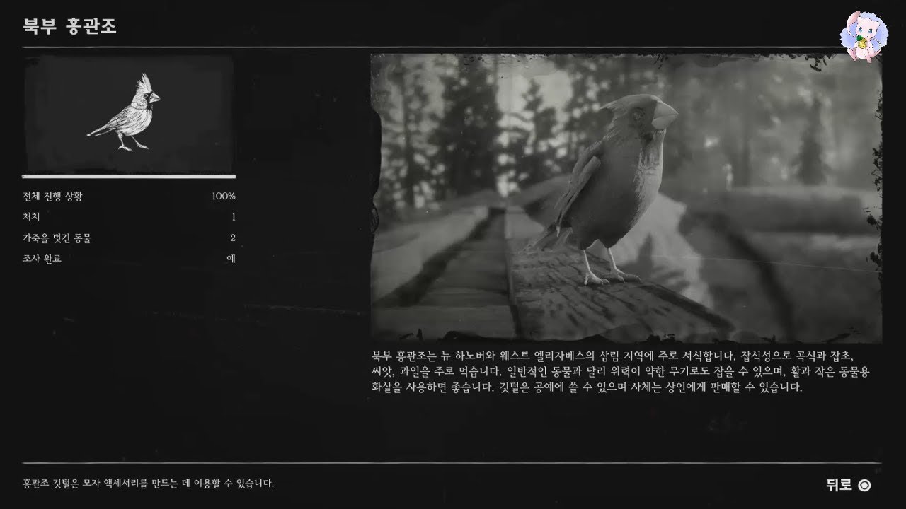 [레드 데드 리뎀션 2 - 동물학자] 【북부 홍관조】 (Red Dead Redemption 2 - Zoologist ...