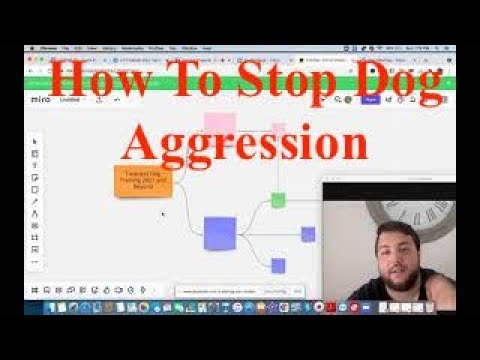 Video: Come Fermare L'aggressività