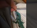 hand feeding my male Knight Anole