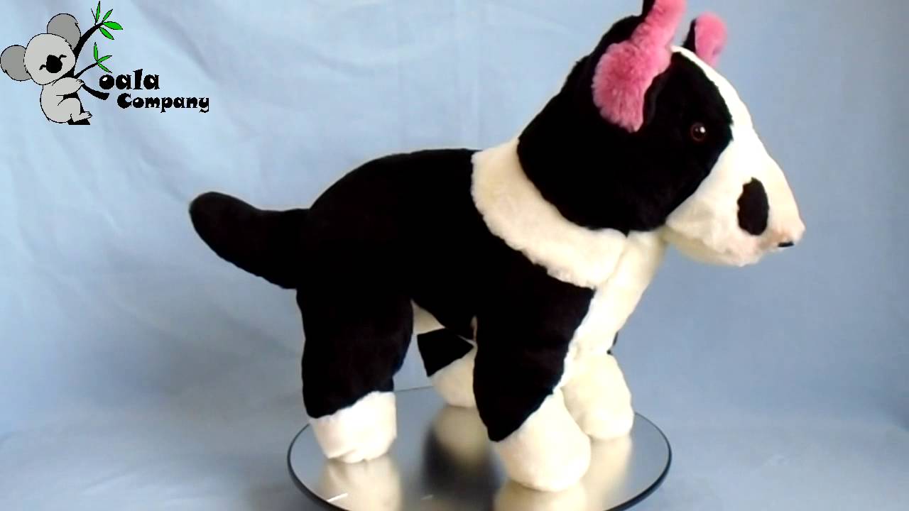 peluche american stanford