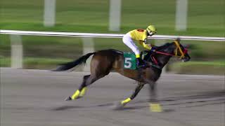 230205 c13 SI SI PARTNER