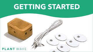 Getting Started with PlantWave