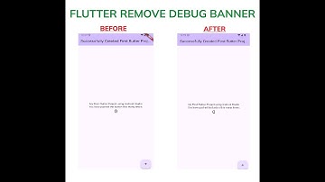 Flutter Remove Debug Banner