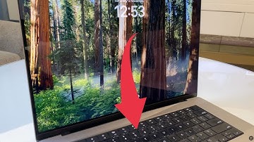 MacBook Keyboard and Mouse Not Responding - Possible Fix