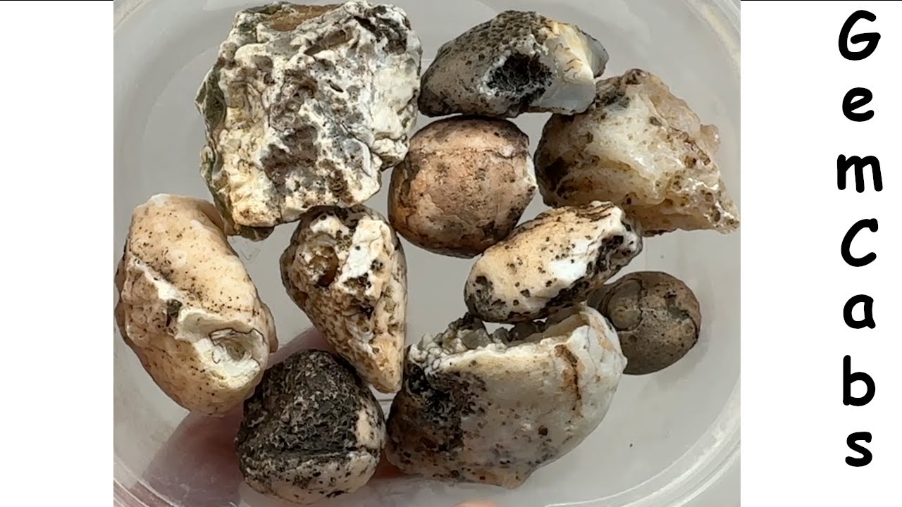 Group of Miscellaneous Arizona Rocks Cut Open to Reveal What is Hiding ...