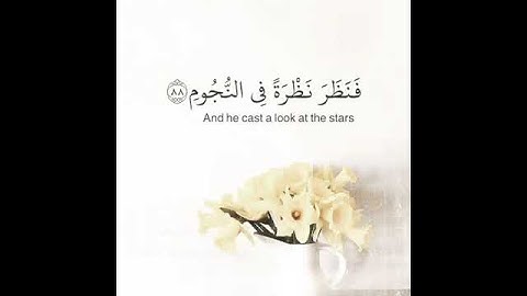 #صوت_رائع #فيديوهات_دينية_قصيرة #القرآن_الكريم_راحة_نفسية #shortvideo #القرآن_الكريم #تلاوة 🤍🤍🤍