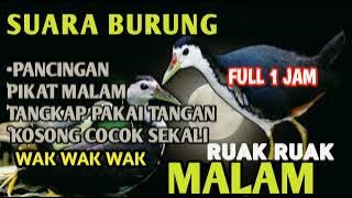 Suara Pikat Ruak KHUSUS MALAM Sangat cepat cocok untuk segala penjuru [] bird trap