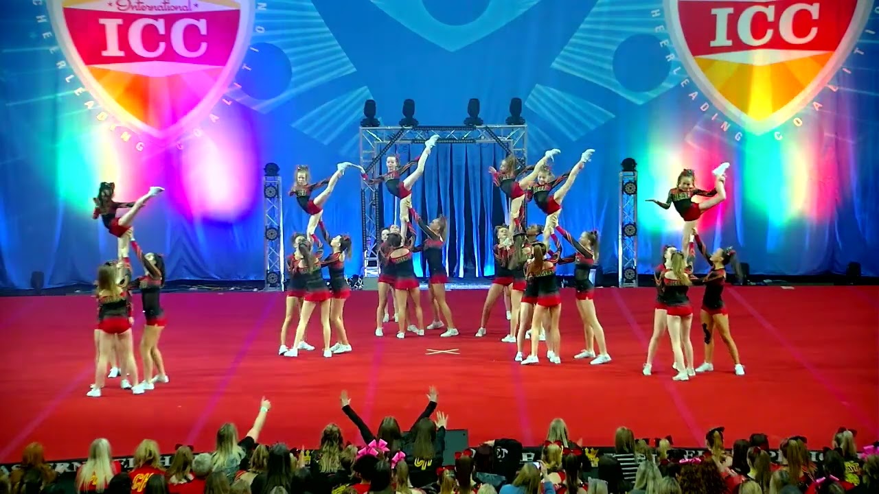 128 Crimson Heat Tigers   Envy A 27 Junior L2 MED